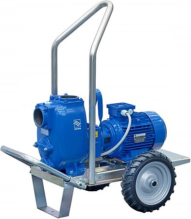 Varisco JE 2 TROLLEY Центробежный насос Varisco JE 2 TROLLEY